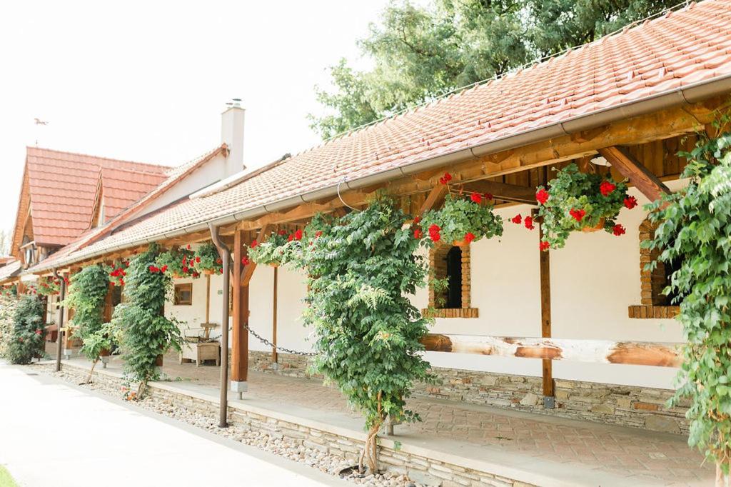 Pension Zwicker Presov Exterior photo